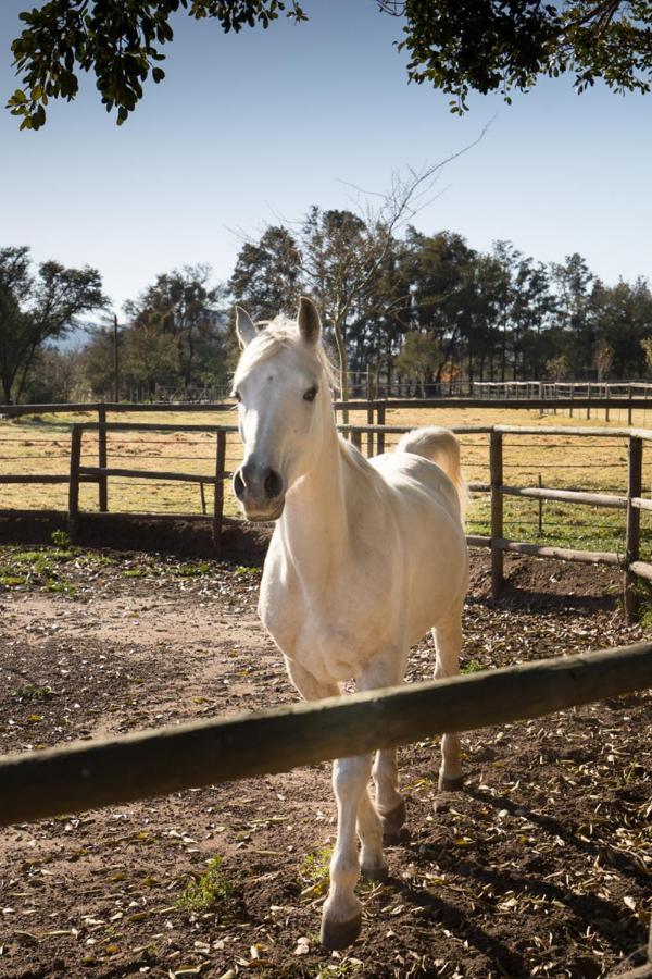 לינה וארוחת בוקר מונטאגו Aasvoelkrans Guest Farm מראה חיצוני תמונה