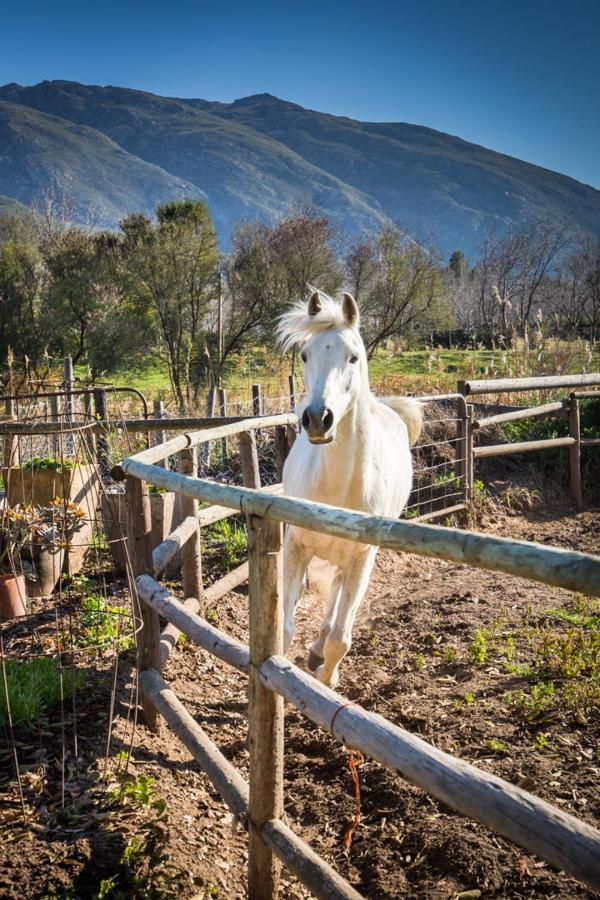 לינה וארוחת בוקר מונטאגו Aasvoelkrans Guest Farm מראה חיצוני תמונה